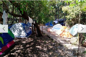 Campin novas palmeiras 953